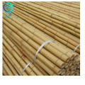 Cana de bambu no atacado para cerca